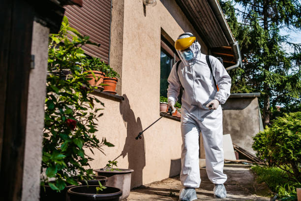 Best Bed Bug Extermination  in Homosassa, FL