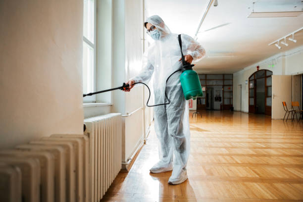 Best Affordable Pest Control Services  in Homosassa, FL